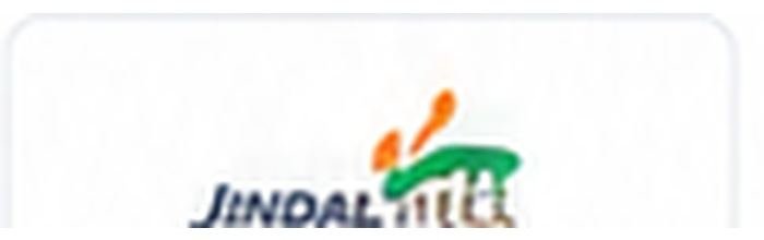 Jindal Steel & Power Ltd.